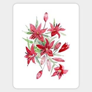 Asiatic red lilies. Watercolor Illustration. Sticker